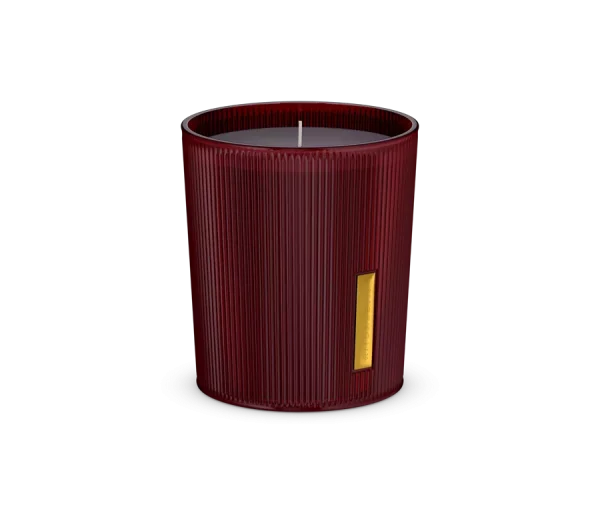 The Ritual of Ayurveda Scented Candle