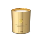 Cashmere Rose