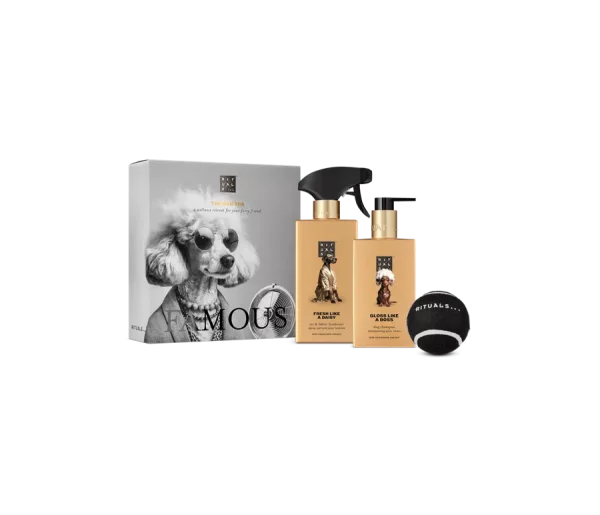 Dog Essentials Set