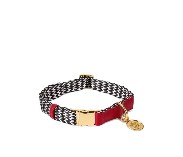 Dog Collar Size M/L