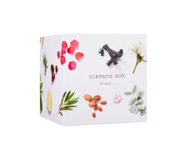 Deluxe Surprise Box Advent 2024