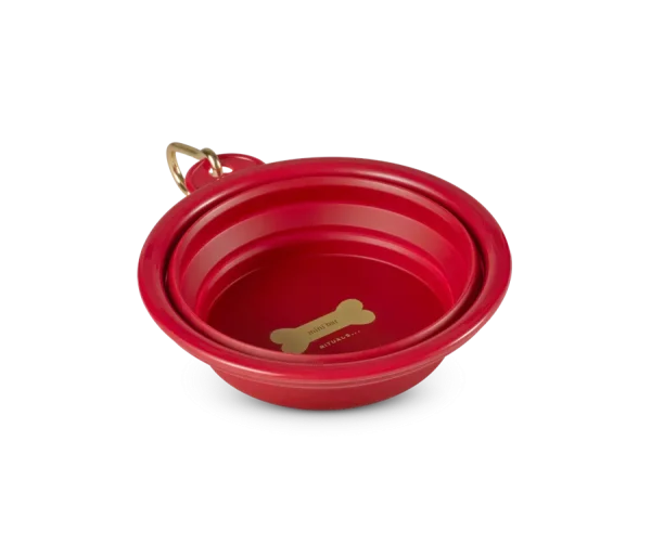 Dog Water Bowl