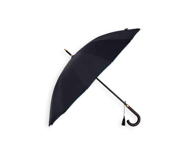 Umbrella 16 Spoke Dragon