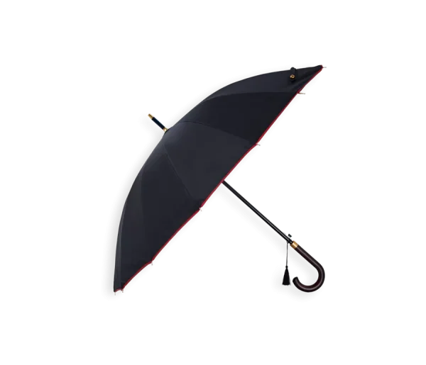 Umbrella 16 Spoke Tsuru